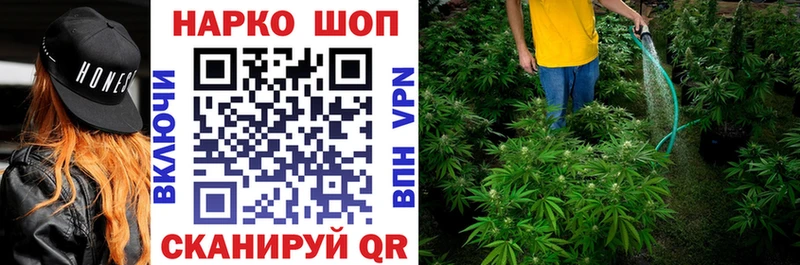 Купить закладку Кокаин  Бошки Шишки  Мефедрон  Гашиш  Ленинградская