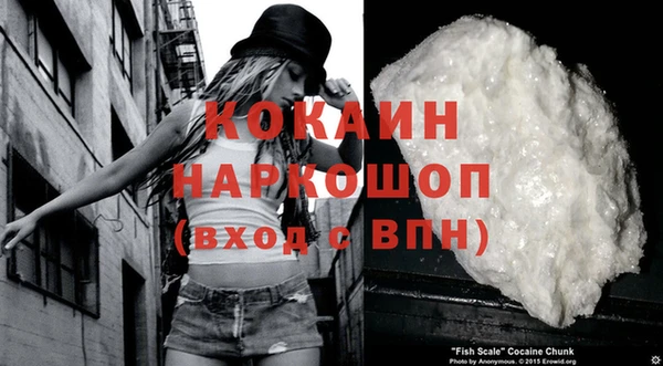 ECSTASY Сосновка